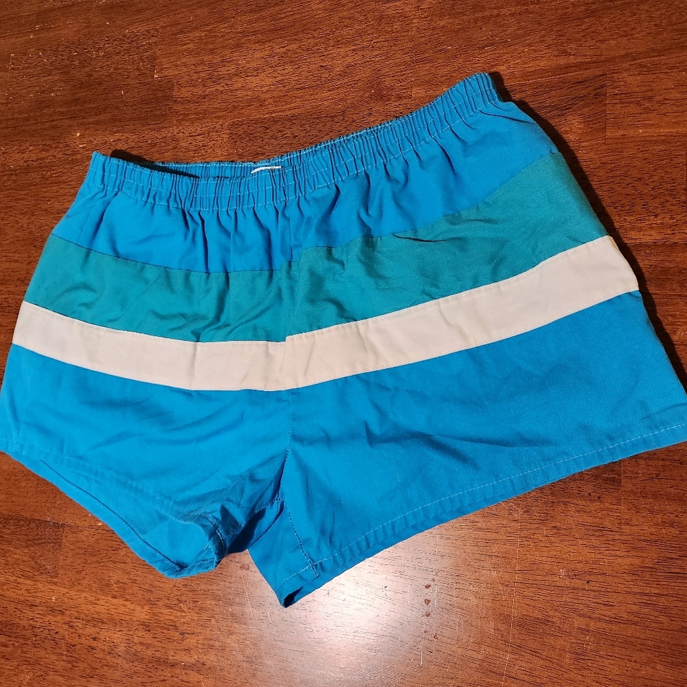Vintage 1980s Hunt Club Turquiose Active/Swim Shorts